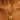 ASHER Compass Toggle Chain Necklace